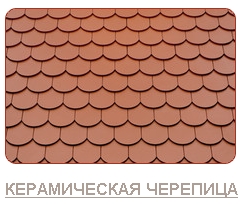 ceram_cherep.jpg
